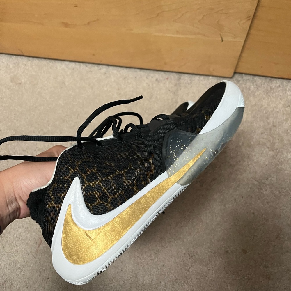 Nike Giannis zoom freak 1